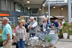 Euroflowers_2017002