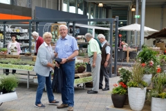 Euroflowers_2017005