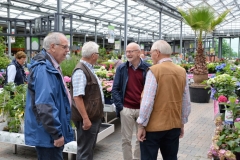 Euroflowers_2017009