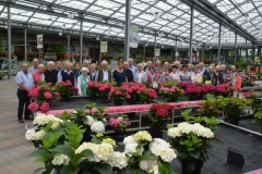 Euroflowers_2017010