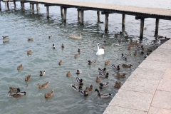 Gardasee_KJF_2018_1006