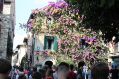 Gardasee_KJF_2018_1047